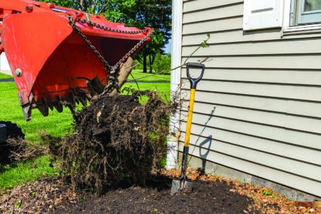 Tractor pulling root ball of bush or shrub out of ground. Concep
